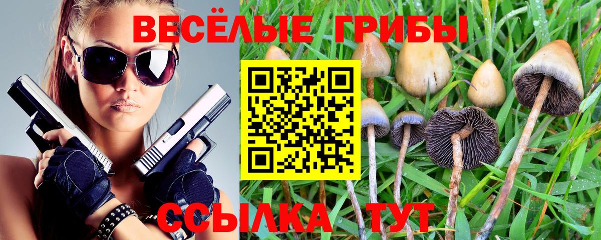 Сарапул  Галлюциногенные грибы мицелий  Вход с VPN 